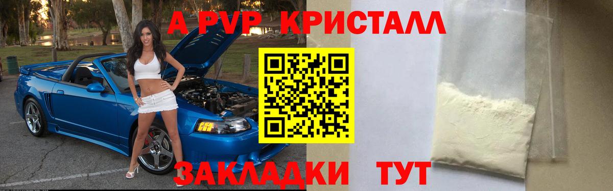 A PVP СК Петропавловск-Камчатский