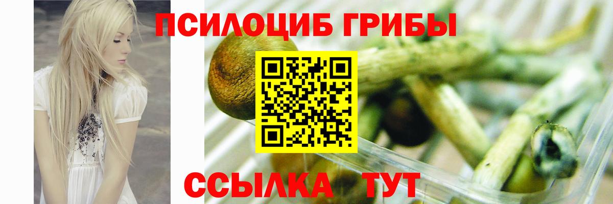 Псилоцибиновые грибы мухоморы  Псилоцибиновые грибы Psilocybine cubensis  Вход с VPN  Петропавловск-Камчатский 